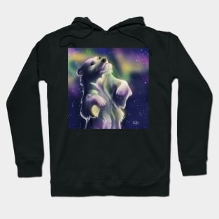 Aurora Bearialis or Polarora Bear Hoodie